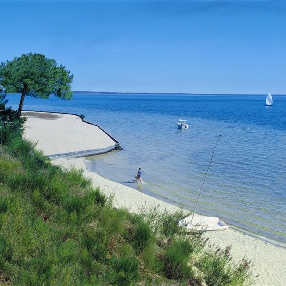 Plage et forêt du Nord des Landes